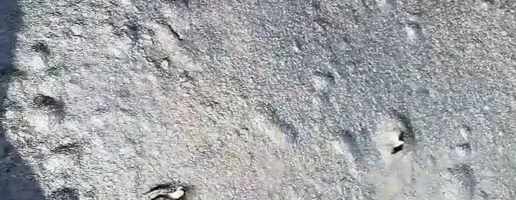 (圖:道康寧DC-65消泡劑應用場景)