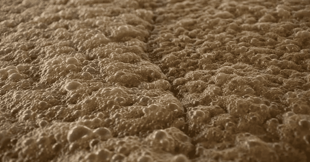 （圖：工業發酵泡沫）